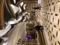 C76572D5-7952-42D6-9A09-4E76346B9336.jpeg C76572D5-7952-42D6-9A09-4E76346B9336.jpeg