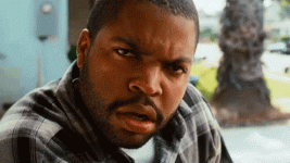 1682033035776.gif