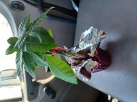 20230516_132739.jpg 20230516_132739.jpg