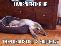 saturday.jpg