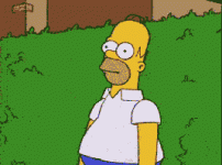 1686106362939.gif