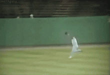 1688337009862.gif