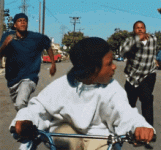 1692835888343.gif