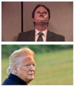 trump-orange-face-dwight-schrute-meme-who-wore-it-better.jpg