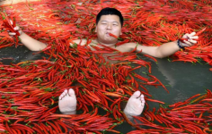 chili.PNG chili.PNG