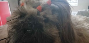 20220308_142045 (1).jpg