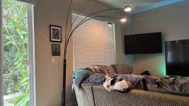 D1FCC1C7-E508-4277-9B46-D303C4997D9F.jpeg D1FCC1C7-E508-4277-9B46-D303C4997D9F.jpeg