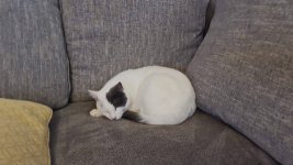 b28bca95-63ff-436c-a3e5-ef2352963914 (1).JPG b28bca95-63ff-436c-a3e5-ef2352963914 (1).JPG