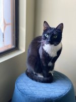 IMG_6388 (1).jpg IMG_6388 (1).jpg