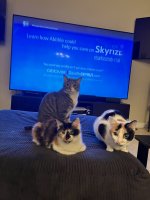 jauz cleo cairo.jpeg jauz cleo cairo.jpeg