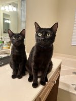 nicki and bavaria.jpeg nicki and bavaria.jpeg