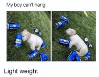 1647006343727.png