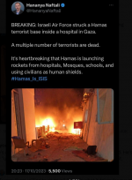 israeli admissionof hosp boming.PNG