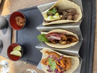 1701990826167.jpeg 1701990826167.jpeg