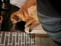 1702795595180.jpeg 1702795595180.jpeg