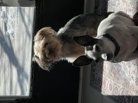 IMG_6414.jpeg