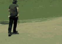 1709406131206.gif