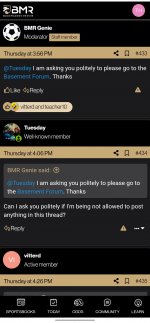 BMR poster protection program tard and cheerleader10.jpg