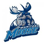 Manitoba Moose.jpg Manitoba Moose.jpg