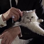 Blofeld_(Dawson-Pohlmann)_-_Profile.jpg Blofeld_(Dawson-Pohlmann)_-_Profile.jpg