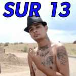 tumblr_omdf2udVlk1vmx73to1_540.gif