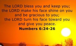 IMG_4471.jpeg IMG_4471.jpeg