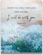 IMG_4478.jpeg IMG_4478.jpeg