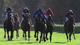 1715537662294.gif