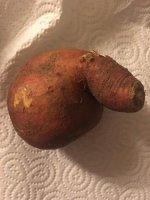 1715794852388.jpeg 1715794852388.jpeg