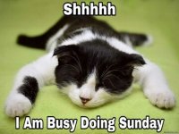 sunday.jpg