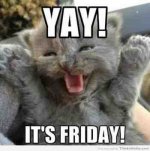 friday.jpg