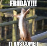 friday.jpg