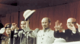 giphy (15).gif