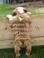 sunday.jpg