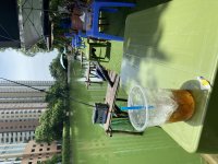 IMG_7732.jpeg
