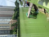 IMG_7730.jpeg