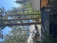 IMG_1412.jpeg
