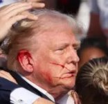 1720919081205.jpeg 1720919081205.jpeg