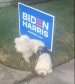 The bear pissin' on  barris.PNG