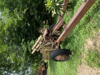 IMG_9083.jpeg