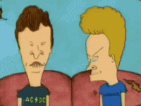 IMG_8219.gif