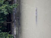 IMG_0943.jpeg