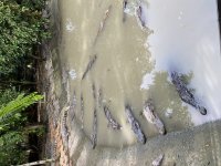 IMG_0947.jpeg