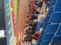 IMG_1113.jpeg IMG_1113.jpeg