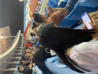 IMG_1149.jpeg IMG_1149.jpeg