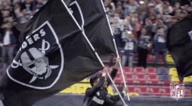 raiders.gif