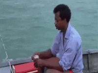 1727888064573.gif 1727888064573.gif