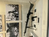IMG_4324.jpeg IMG_4324.jpeg