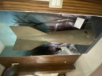 IMG_4328.jpeg IMG_4328.jpeg