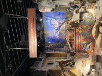 IMG_5074.jpeg